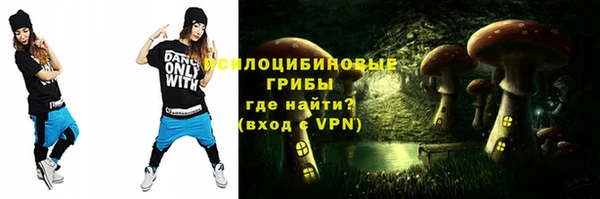 крисы Балахна