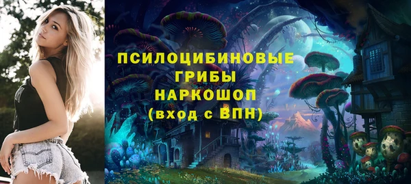 крисы Балахна