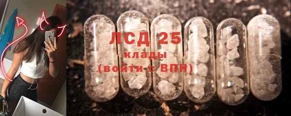 PSILOCYBIN Балабаново